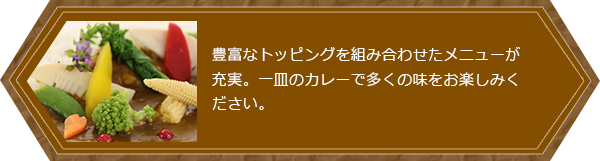 豊富なトッピングを組み合わせたメニューが充実。一皿のカレーで多くの味をお楽しみください。